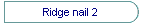 Ridge nail 2